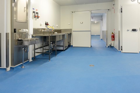 HACCP and Hygiene